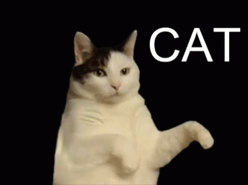 A gif of the classic kitty cat dance meme.